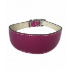 350-BOYSENBERRY